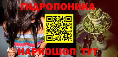 PSILOCYBIN Кулебаки